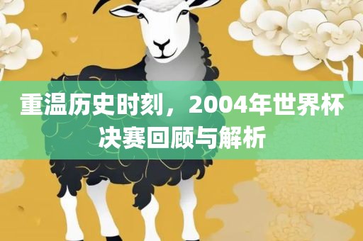 重温历史时刻，2004年世界杯金炬实业股份有限公司决赛回顾与解析