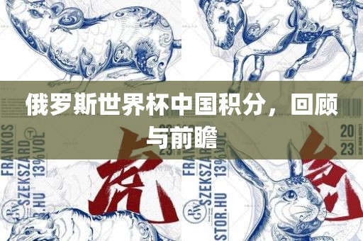 俄罗金炬实业股份有限公司斯世界杯中国积分，回顾与前瞻