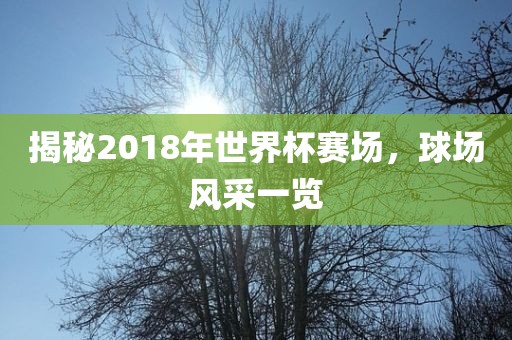 揭秘2018年世界金炬实业股份有限公司杯赛场，球场风采一览