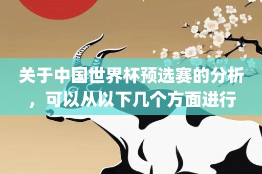 关于中国世界杯预选赛的分析，可以从以下几个方面进行