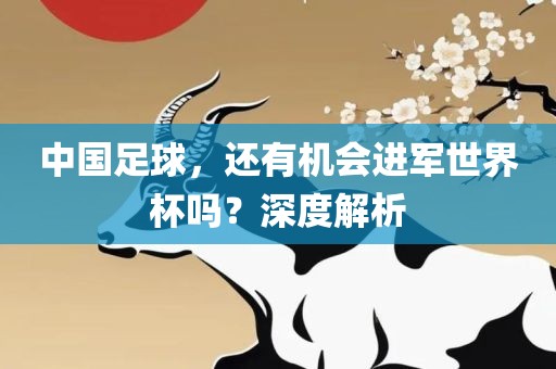 中国足球，还有机会进金炬实业股份有限公司军世界杯吗？深度解析