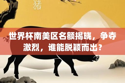 世界杯南美区名额揭晓，争夺激烈，谁能脱颖而出？