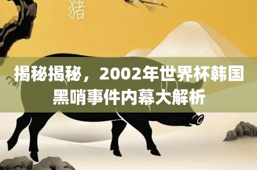 揭秘揭秘，2002年世界杯韩国黑哨事件内幕大解析