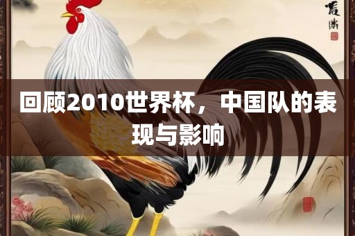 回顾2010世界杯，中国队的表现与影响