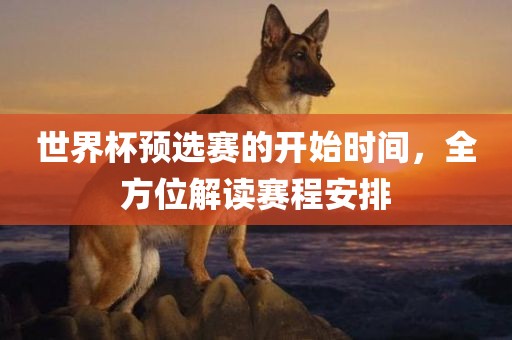 世界杯预选赛的开始时间，全方位解读赛程安排金炬实业股份有限公司