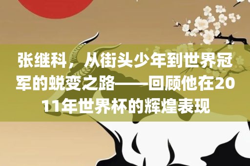 张继科，从街头少年到世界冠军的蜕变之路——回顾他在2011年世界杯的辉煌表现