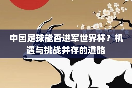 中国足球能否进军世界杯？机遇与挑战并存的道路金炬实业股份有限公司
