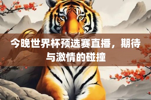今晚世界杯预选赛直播，期待与激情的碰撞