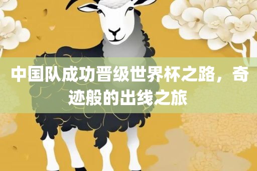 中国队成功晋级世界杯之路，奇迹般的出线之旅金炬实业股份有限公司