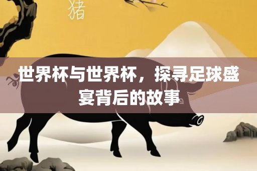 世界杯与世界杯，探寻足球盛宴背后的故事金炬实业股份有限公司