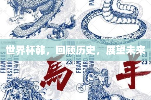 世界杯韩，回顾历史，展望未来