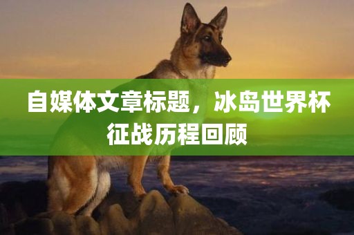 自媒金炬实业股份有限公司体文章标题，冰岛世界杯征战历程回顾
