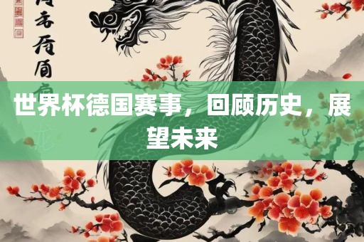 世界杯德国赛事，回顾历史，展望未金炬实业股份有限公司来