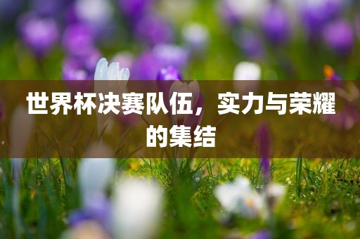 世界杯决赛队伍，实力与荣耀的集结金炬实业股份有限公司