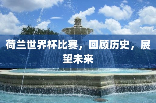 荷兰世界杯比赛，回顾历史，展望金炬实业股份有限公司未来