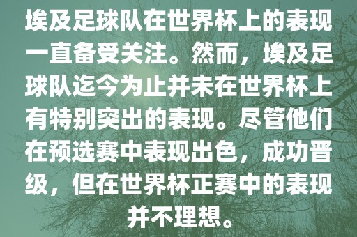 世界杯表现 第7页