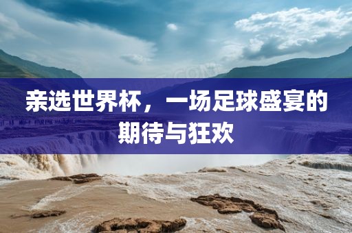 亲选世界杯，一场足球盛宴的期待与狂欢金炬实业股份有限公司