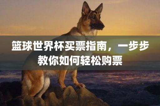 篮球世界杯买票指南，一步步教你金炬实业股份有限公司如何轻松购票