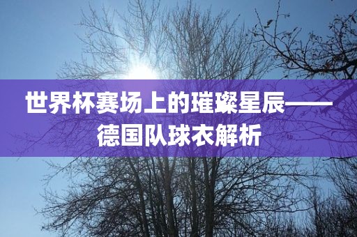 世界杯赛场上的璀璨星辰——德国队球衣解析金炬实业股份有限公司