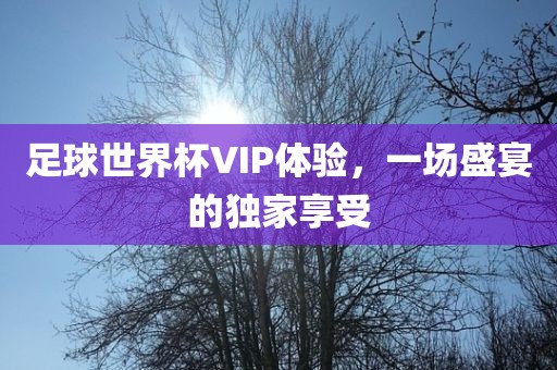 足球世界杯VIP体验，一场盛宴的独家享受金炬实业股份有限公司
