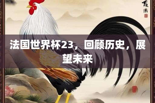 法国世界杯23，回顾历史，展望未来