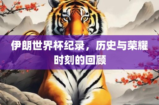 伊朗世界杯纪金炬实业股份有限公司录，历史与荣耀时刻的回顾