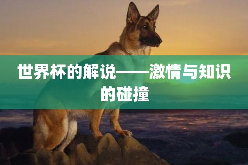 世界杯的解说——激情与知识的碰撞