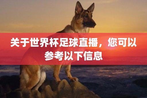 关于世界杯足球直播，您可以参考以下信息