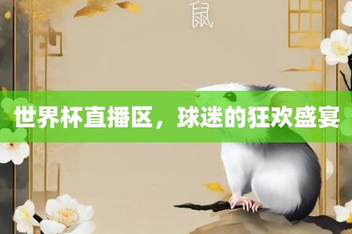 世界杯直播区，球迷的狂欢盛宴