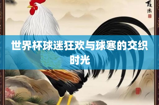 世界杯球迷狂欢与球寒的交织时光金炬实业股份有限公司