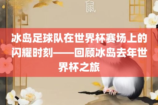 冰岛足球队在世界杯赛场上的闪耀时刻——回顾冰岛去年世界杯之旅