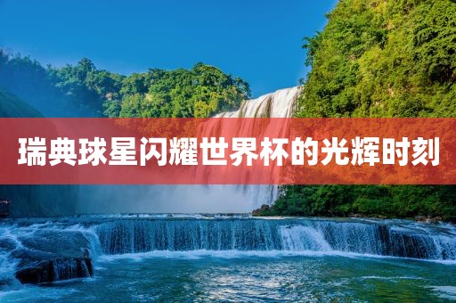 瑞典球星闪耀世界金炬实业股份有限公司杯的光辉时刻