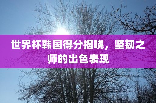 世界杯韩国得分揭晓，坚韧之师的出色表现