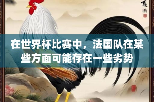 在世界杯比赛中，法国队在某些方面可能存在一些劣势金炬实业股份有限公司