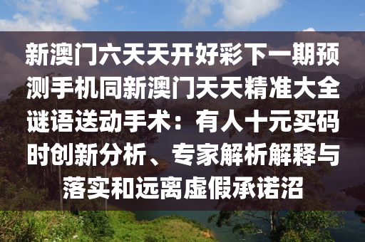 韩国日韩世界杯，回顾与解析