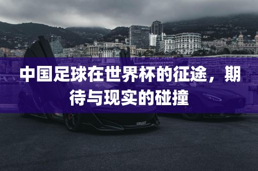 中国足球在世界杯的征途，期待与现实的碰撞金炬实业股份有限公司