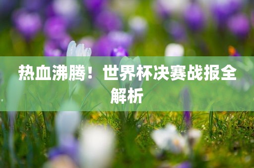 热血沸腾！世界杯决赛战报全解析金炬实业股份有限公司