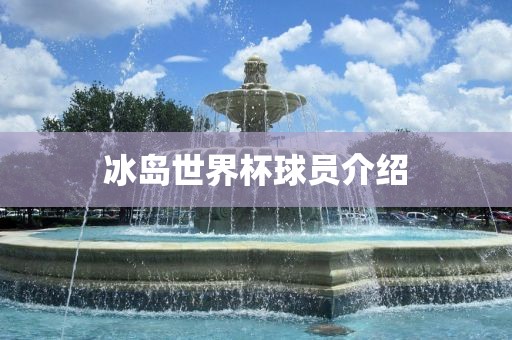 冰岛世界杯球员介绍金炬实业股份有限公司