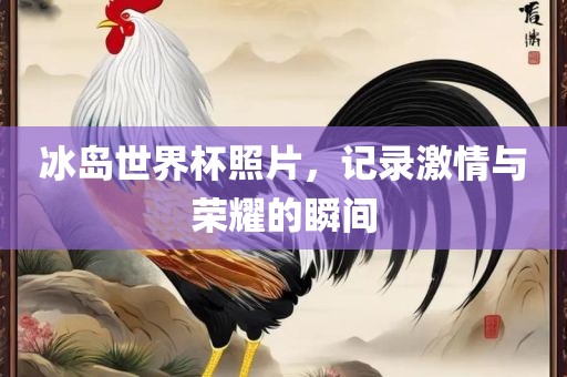 冰岛世界杯照片，记录激情与荣耀的瞬间金炬实业股份有限公司