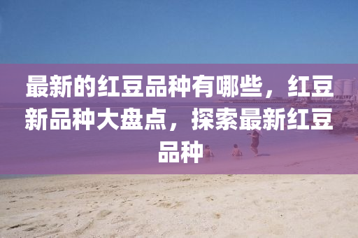 揭秘世界杯瑞典赛事，坚韧之师的崛起与荣耀时刻金炬实业股份有限公司