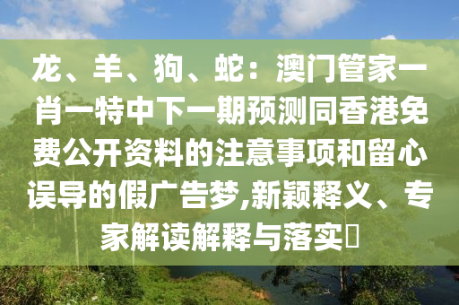 南非世界杯 第3页