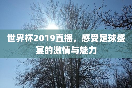 世界杯2019直播，感受足球盛宴的激情与魅力金炬实业股份有限公司