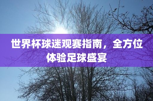 世界杯球迷观赛指南，全方位体验足球盛宴