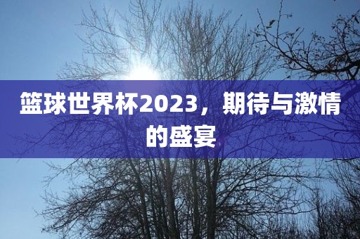 篮球世界杯2023，期待与激情的盛宴