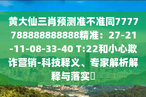 世界杯夺冠之路，探索成功的秘密