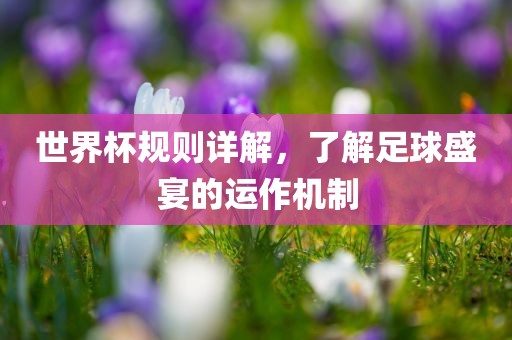 世界杯规则详解，了解足球盛宴的运作机制