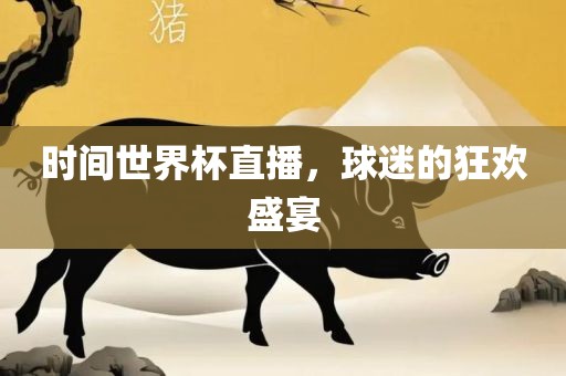 时间世界杯直播，球迷的狂欢盛宴金炬实业股份有限公司